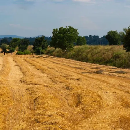 Locazione Turistica Casa Vento Della Toscana